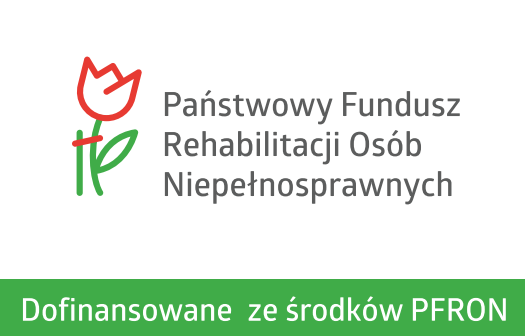 Dostosowanie toalet do potrzeb osób niepełnosprawnych
